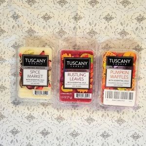 Fall Wax Melts 🍂🧡